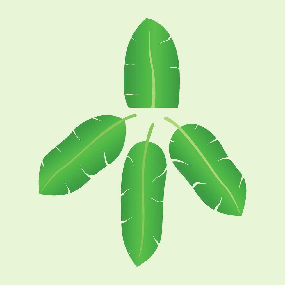 Banana leaf vector illustration