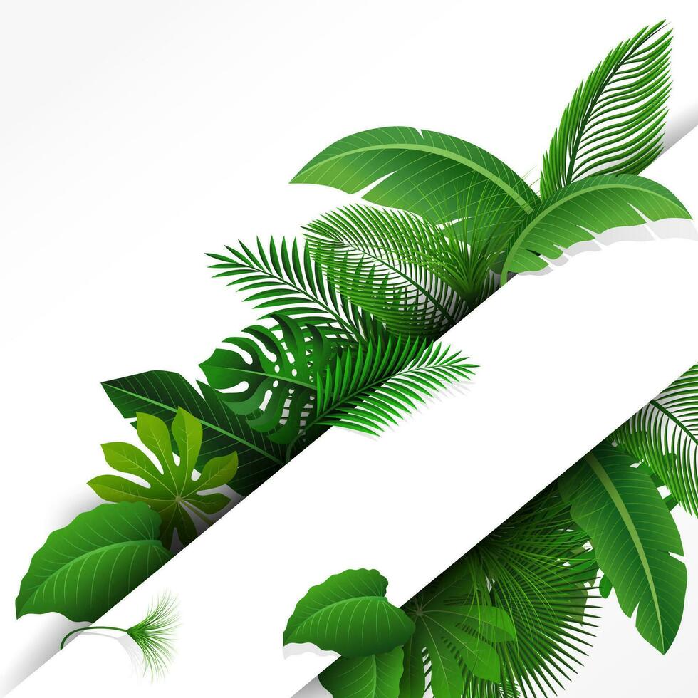 Sign with Text Space of Tropical Leaves. Suitable For Nature Concept, Vacation, and Summer Holiday, Vector Illustration