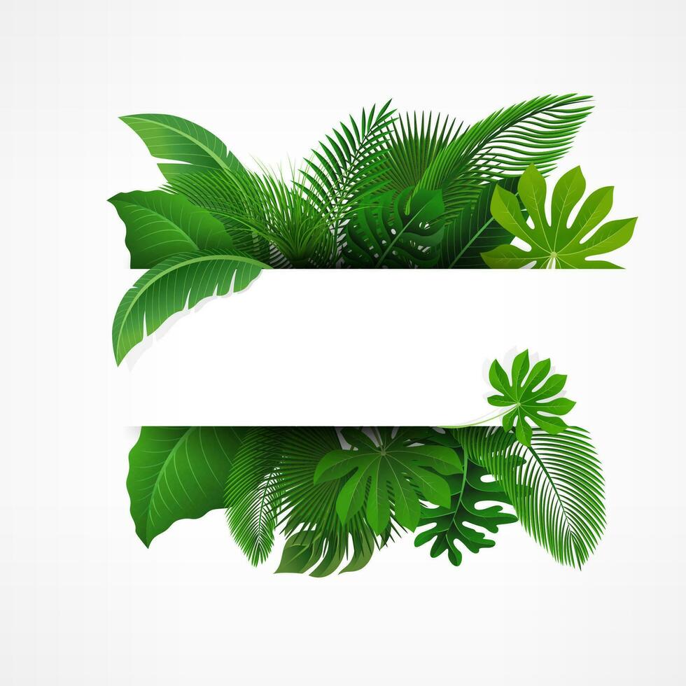 Sign with Text Space of Tropical Leaves. Suitable For Nature Concept, Vacation, and Summer Holiday, Vector Illustration
