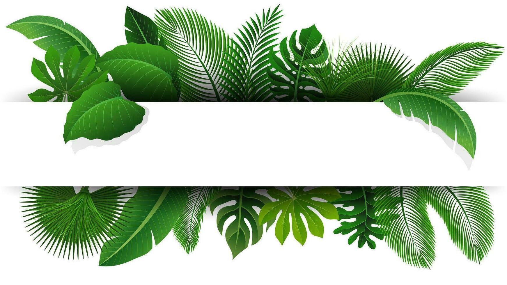 Sign with Text Space of Tropical Leaves. Suitable For Nature Concept, Vacation, and Summer Holiday, Vector Illustration