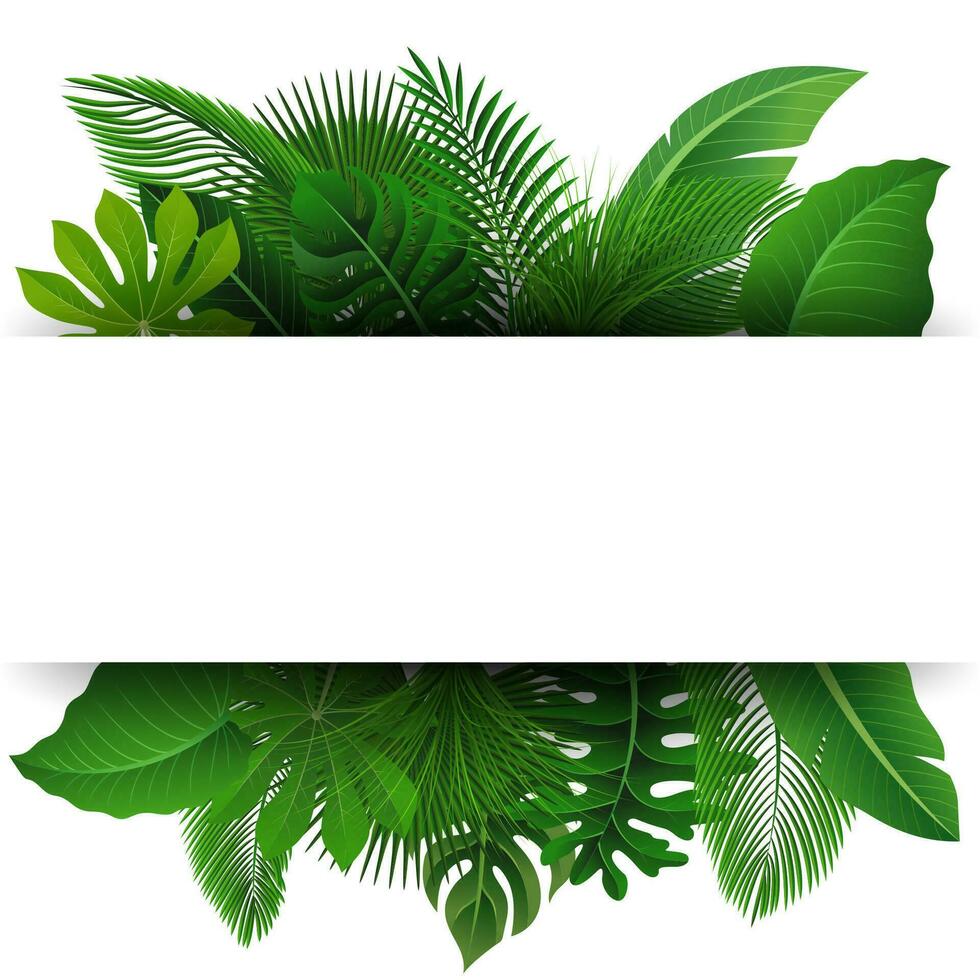 Sign with Text Space of Tropical Leaves. Suitable For Nature Concept, Vacation, and Summer Holiday, Vector Illustration