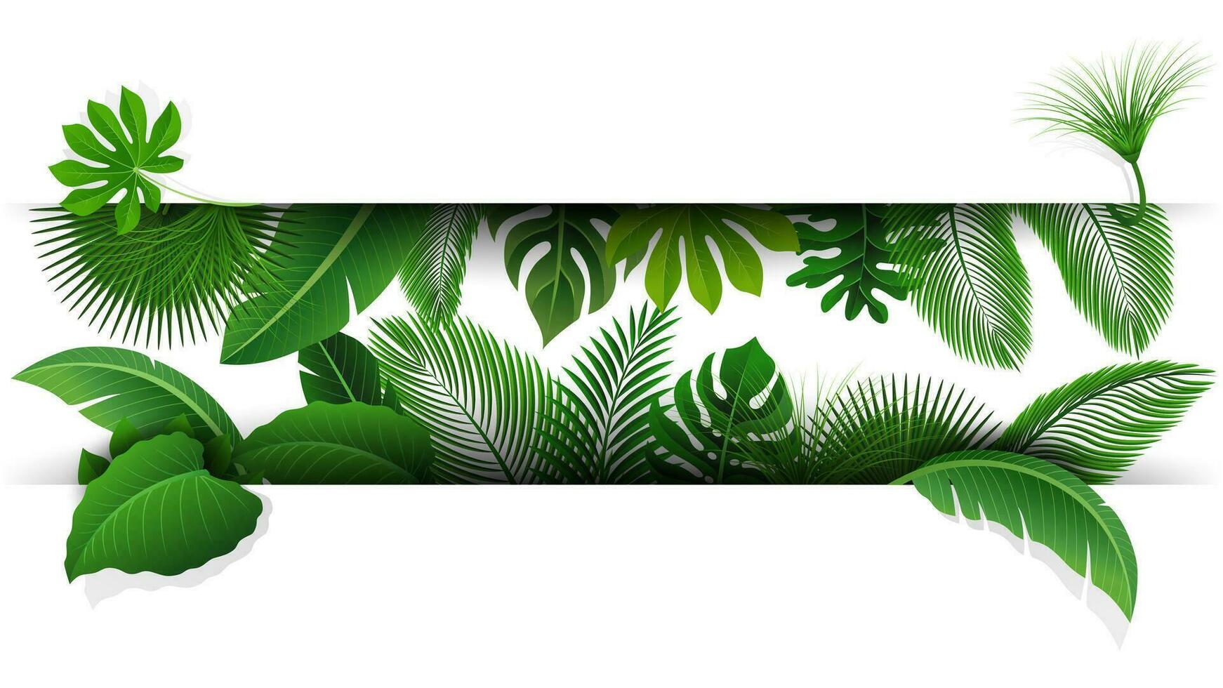 Sign with Text Space of Tropical Leaves. Suitable For Nature Concept, Vacation, and Summer Holiday, Vector Illustration