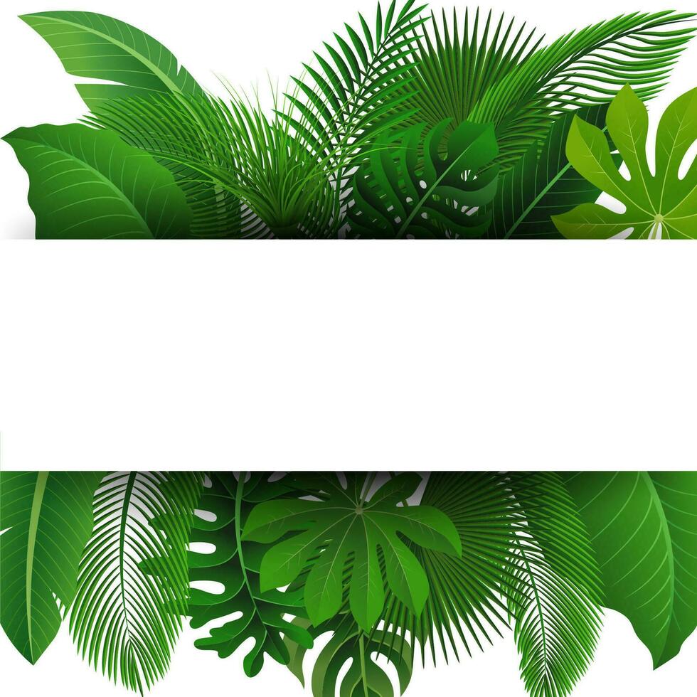 Sign with Text Space of Tropical Leaves. Suitable For Nature Concept, Vacation, and Summer Holiday, Vector Illustration