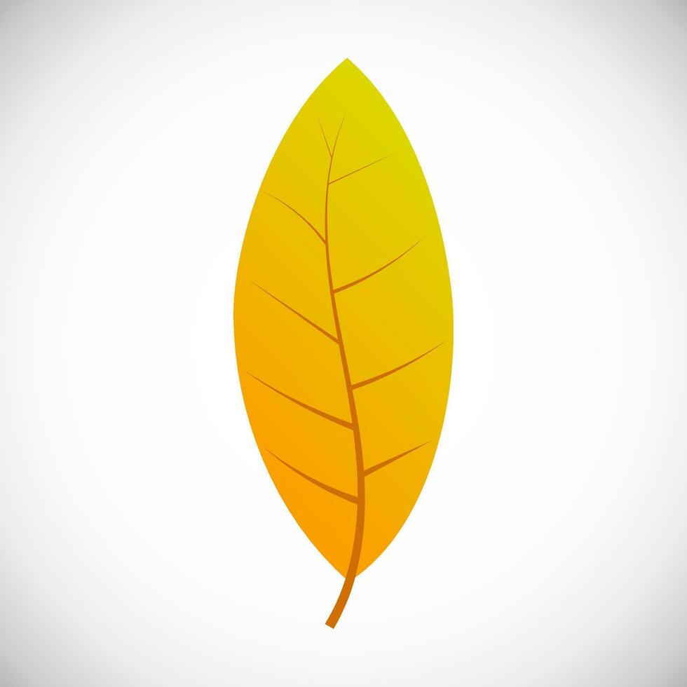 Willow yellow leaf. Autumn leaf of a tree on a white background. Vector illustration