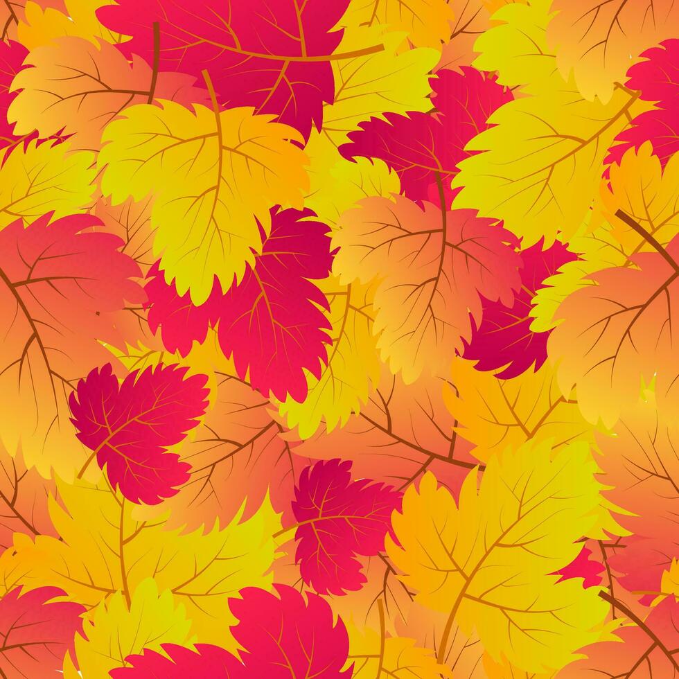 Autumn seamless background with maple colorful leaves. Design for fall season posters, wrapping papers and holidays decorations. Vector illustration