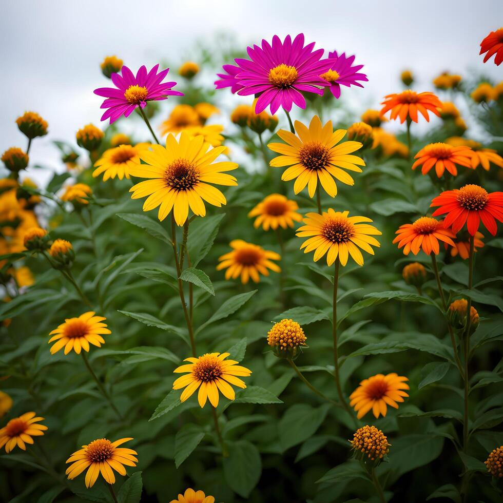 Flower concept background green foliage of spring summer flowers. photo