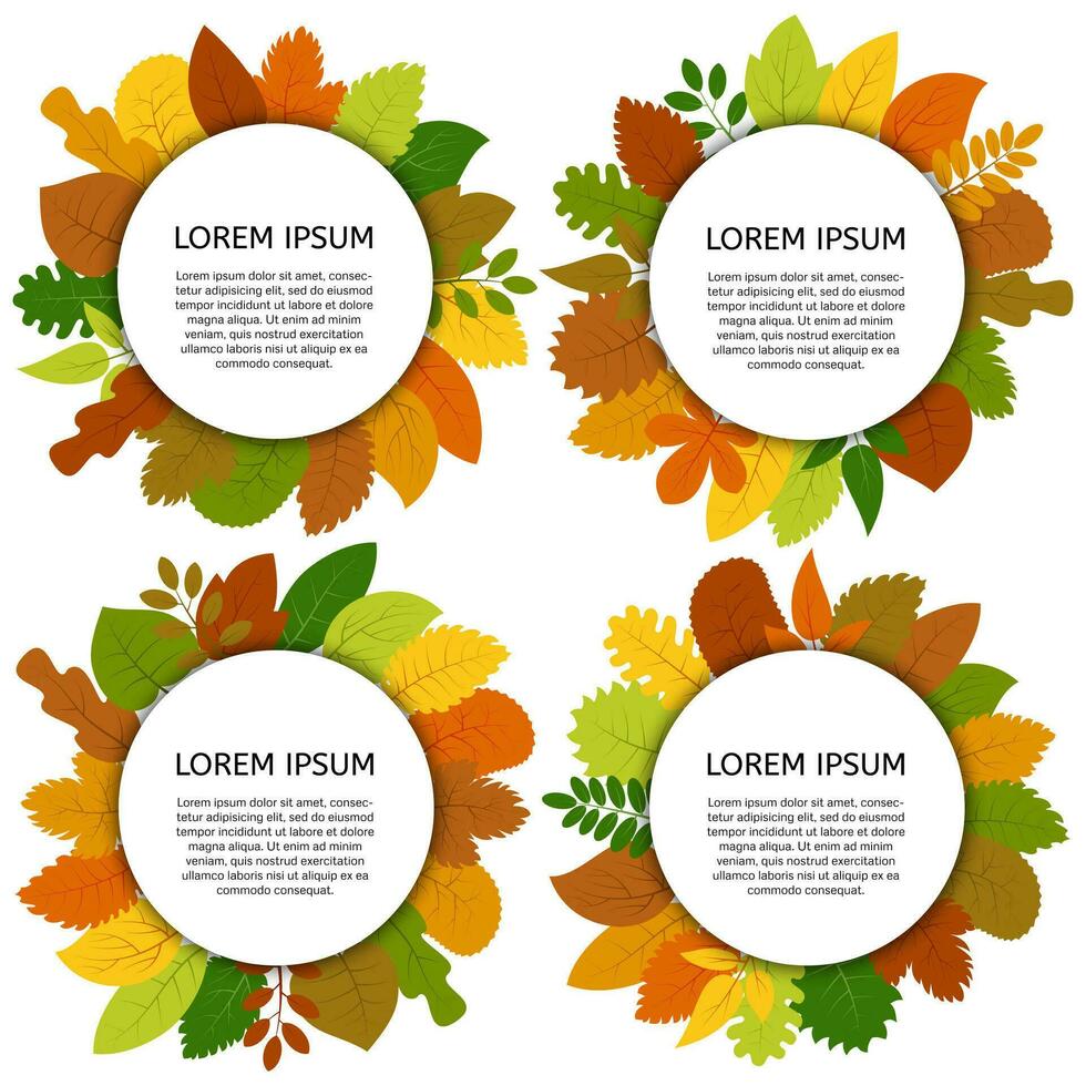 Set of four vector card with yellow leaves isolated on white background. Colorful autumn leaves under white round label.