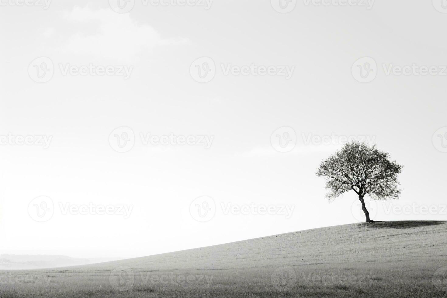 Lone tree casting shadows against stark white background AI Generative photo