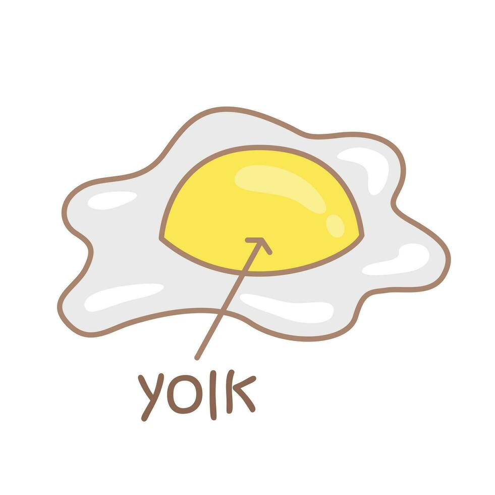 Alphabet Y For Yolk Vocabulary School Lesson Cartoon Illustration Vector Clipart Sticker