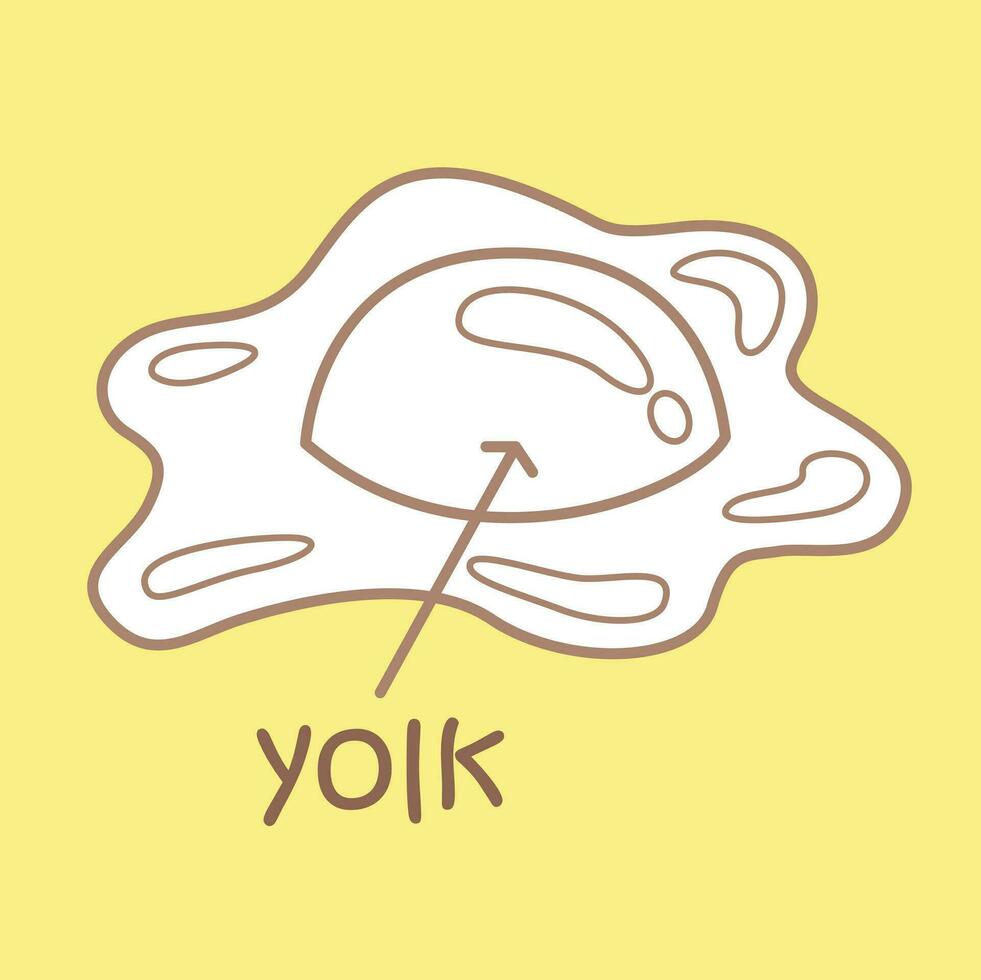 Alphabet Y For Yolk Vocabulary School Lesson Cartoon Digital Stamp Outline vector