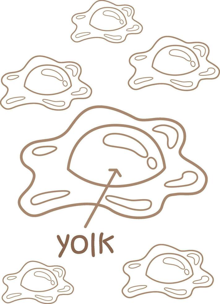 Alphabet Y For Yolk Vocabulary School Lesson Cartoon Coloring Pages for Kids and Adult vector