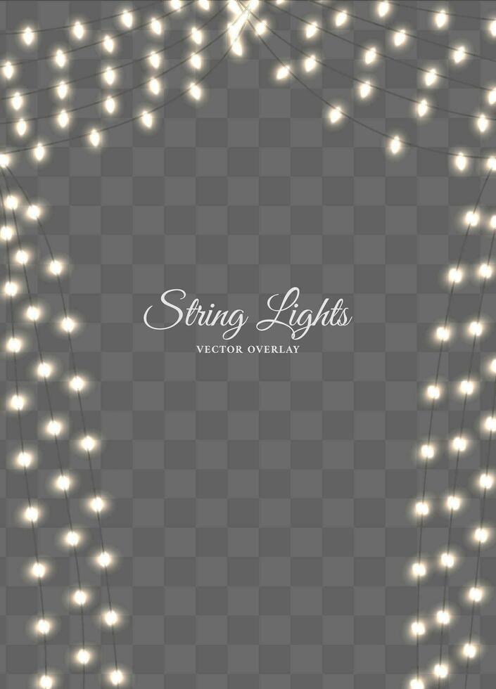 Twinkling fairy string lights overlay dark background vector