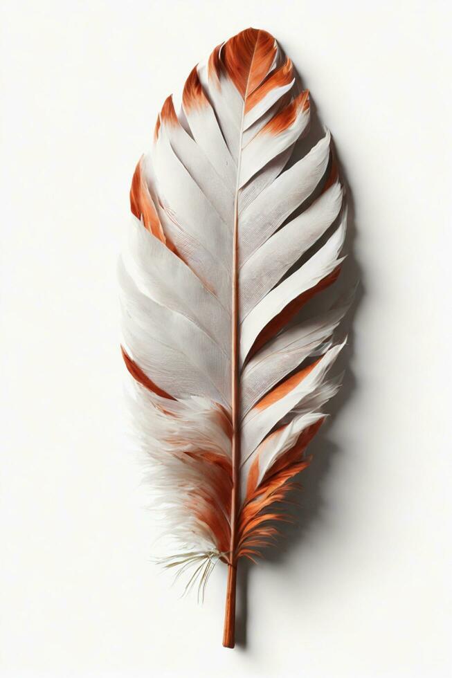 Hat Feather, Elegance and Style on a White Background, AI Generated photo