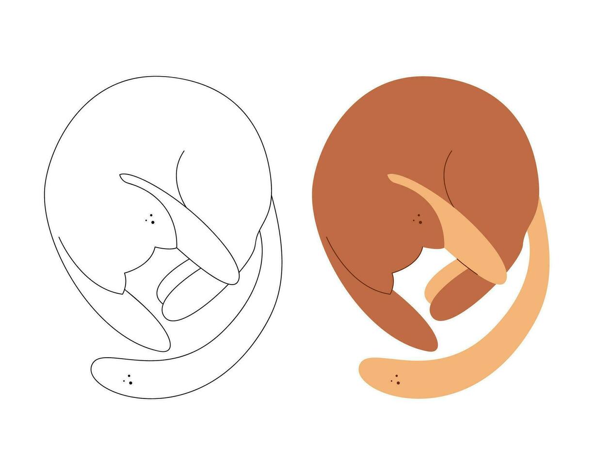 A small set with a cat that lies in the shape of a circle. Black and white and color clipart vector illustration.