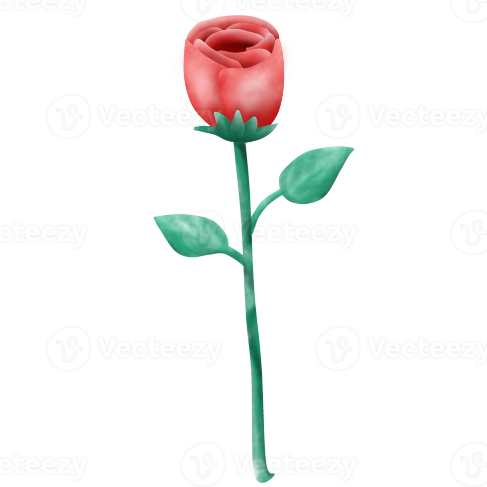 single red rose png