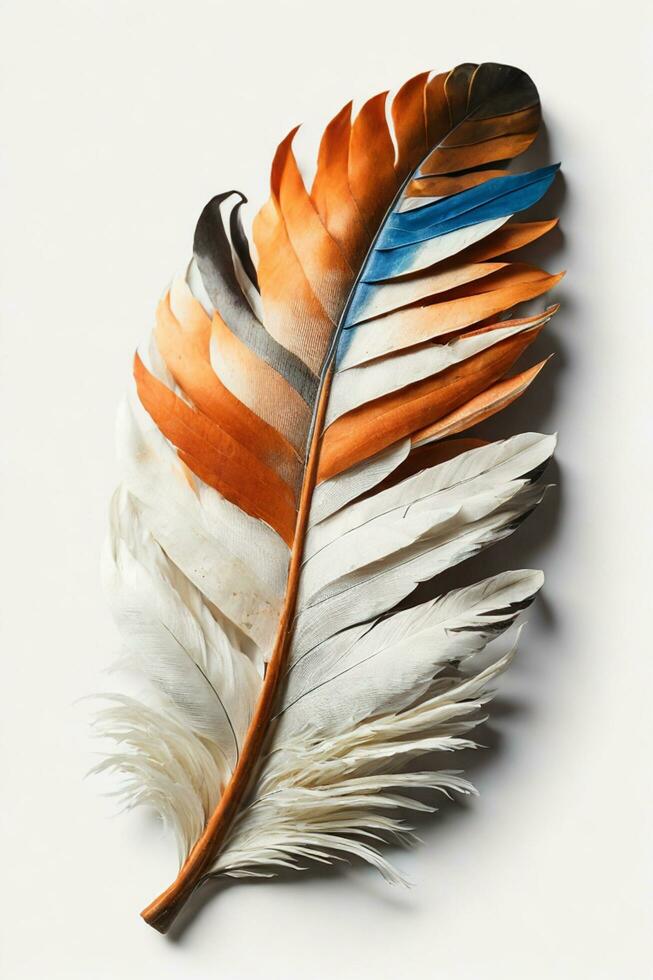 Hat Feather, Elegance and Style on a White Background, AI Generated photo