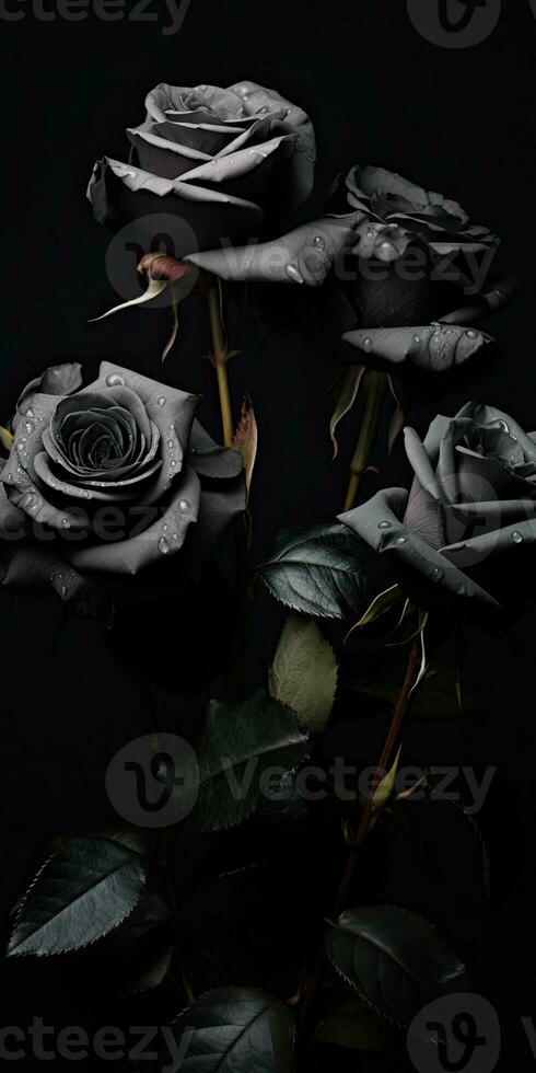 Spellbinding closeup portrait of roses, eternal melancholy, AI Generated photo