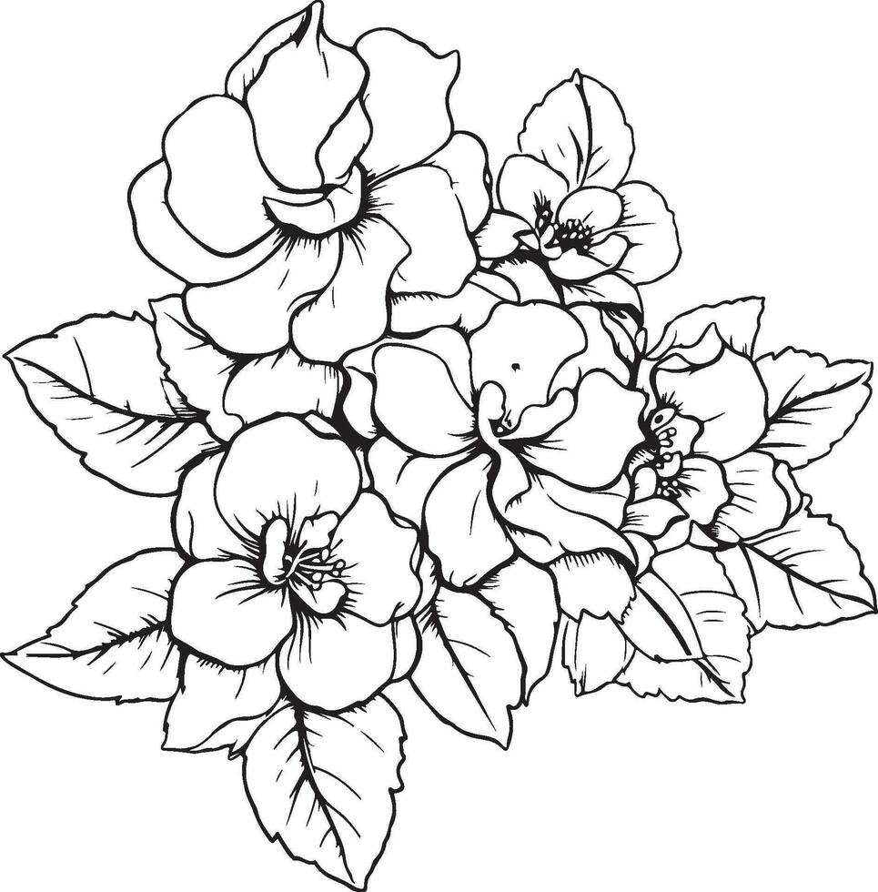 flowers coloring page vector