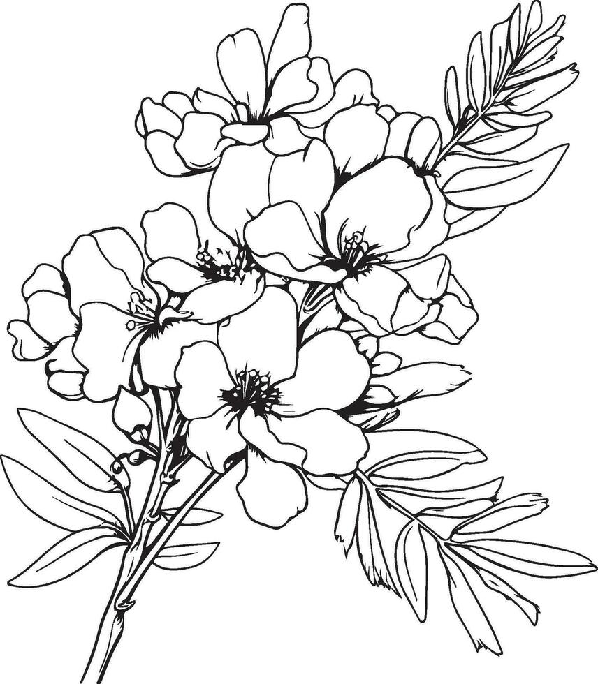 flowers coloring page vector