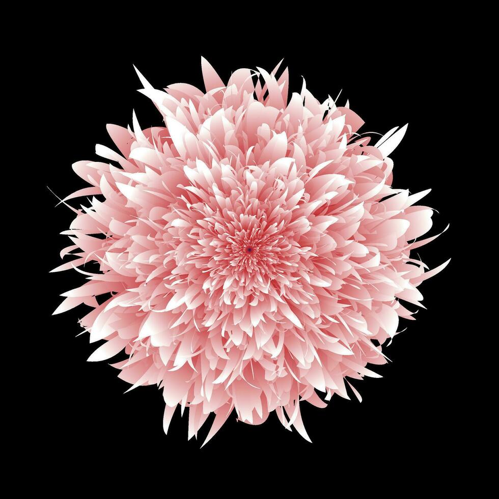 realistic illustration of a pink blossom peony flower head vector