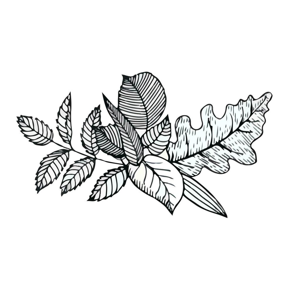 Hand-drawn composition of autumn leaves in doodle style. Vector illustration isolated on white background.