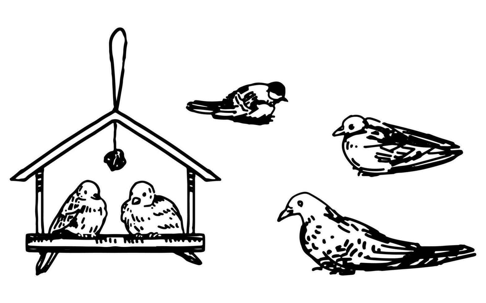 Set of wild birds in winter. Doodles of pigeons, titmouse, snowbirds. Hand drawn vector illustrations. Outline clip arts collection isolated on white.