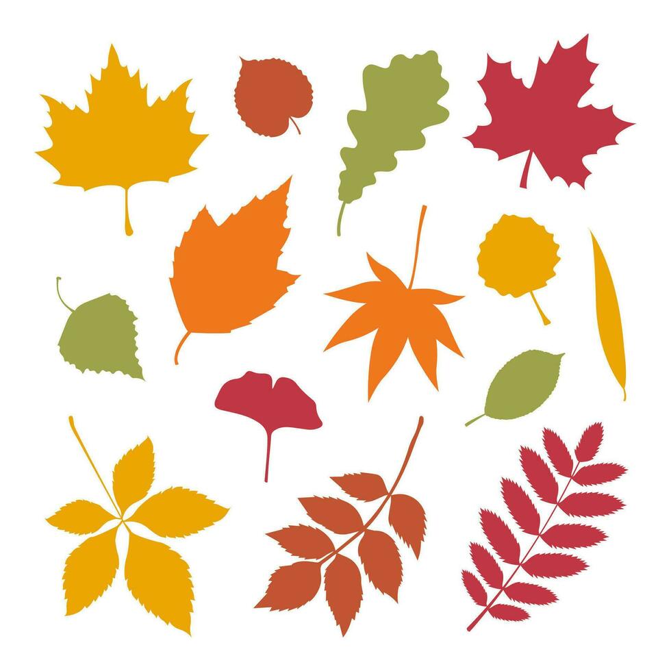 conjunto de varios otoño hojas. hojas silueta vector