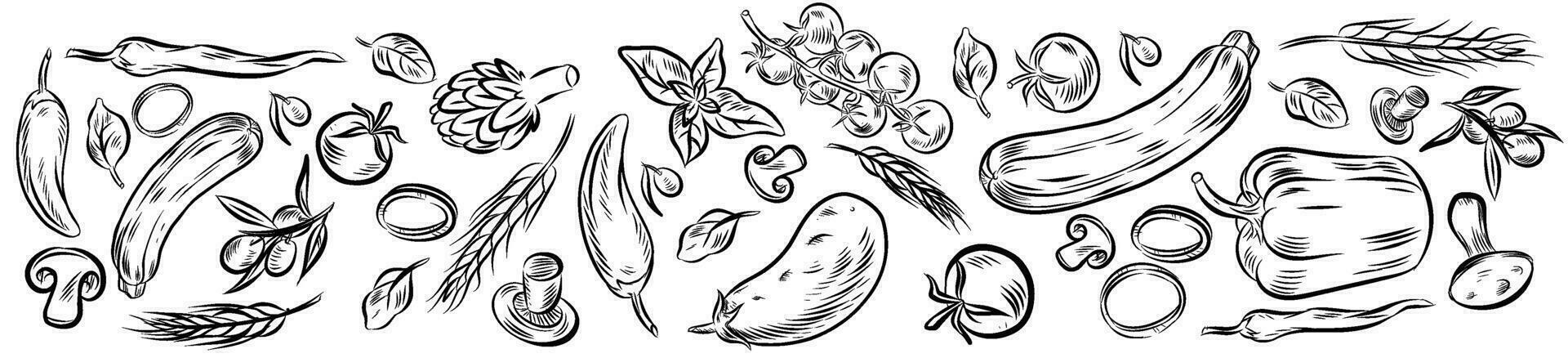 Hand drawn fruits and vegetables.seamless pattern. Vector horizontal illustration