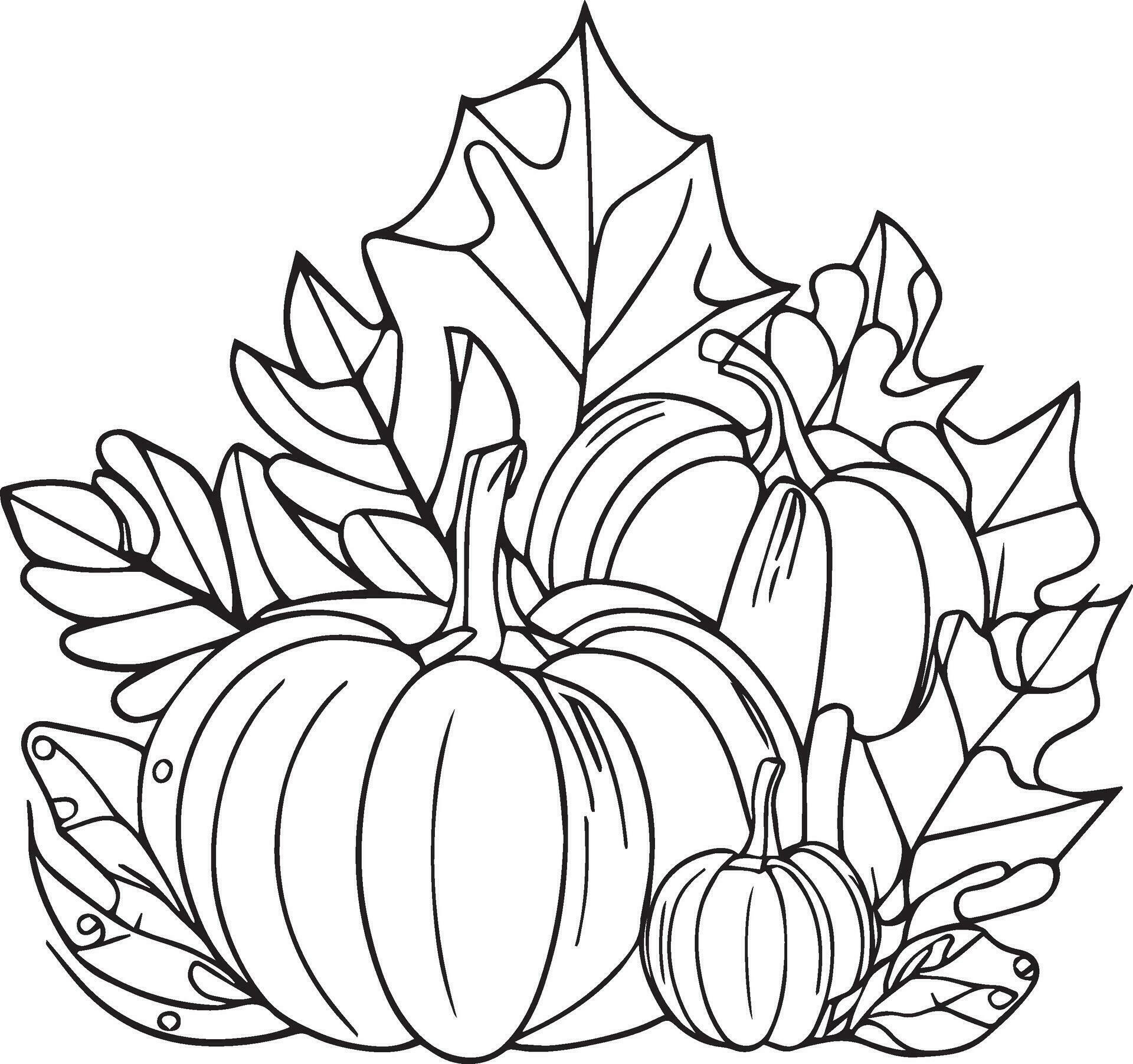Autumn harvest for Thanksgiving day, autumn leaf line drawings, fall leaves handdrawn coloring