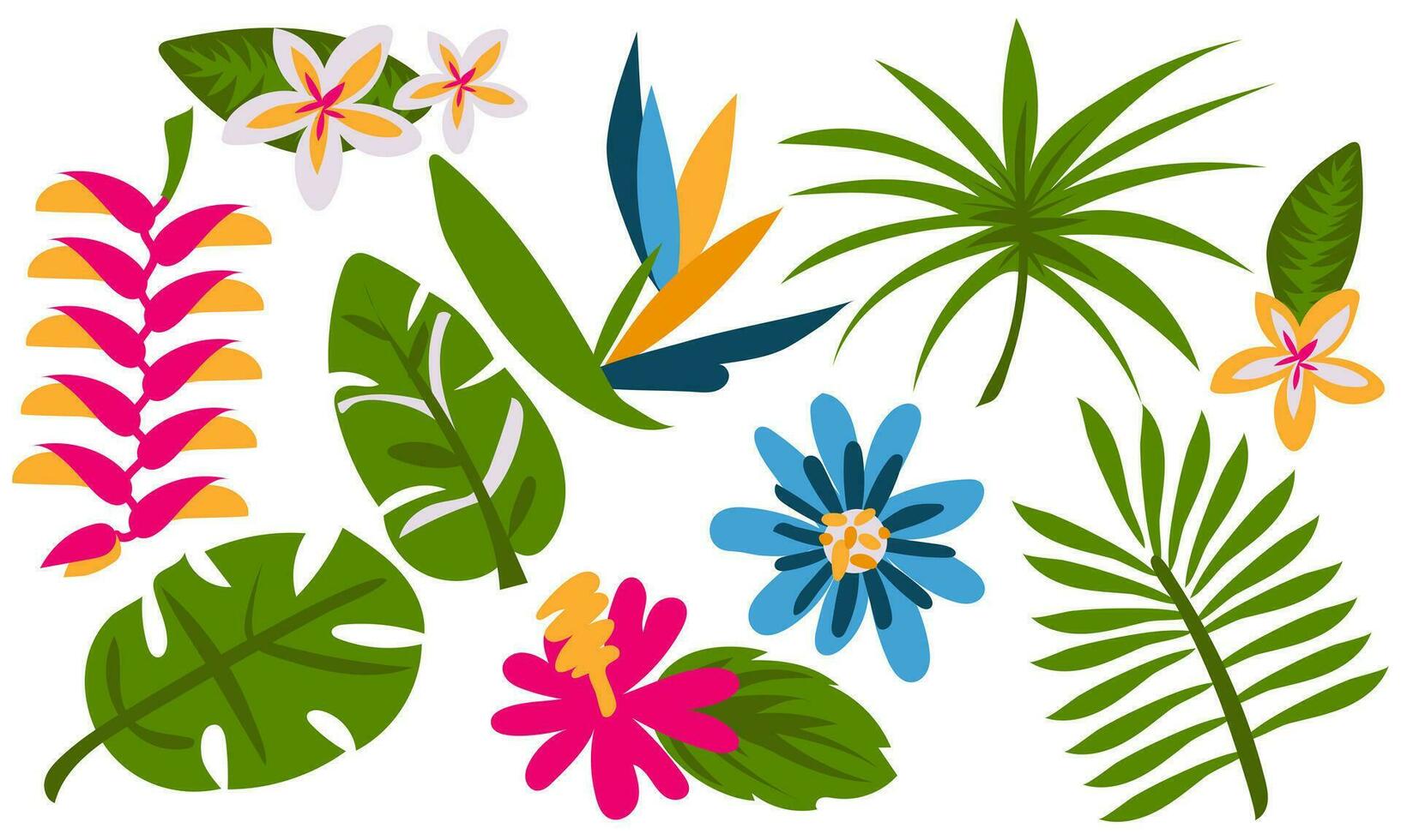 Vector set of tropical leaves. Palm, banana leaf and hibiscus flowers, plumeria, strelitzia, passionflower, heliconia on a white background. Collection for parties in an exotic style