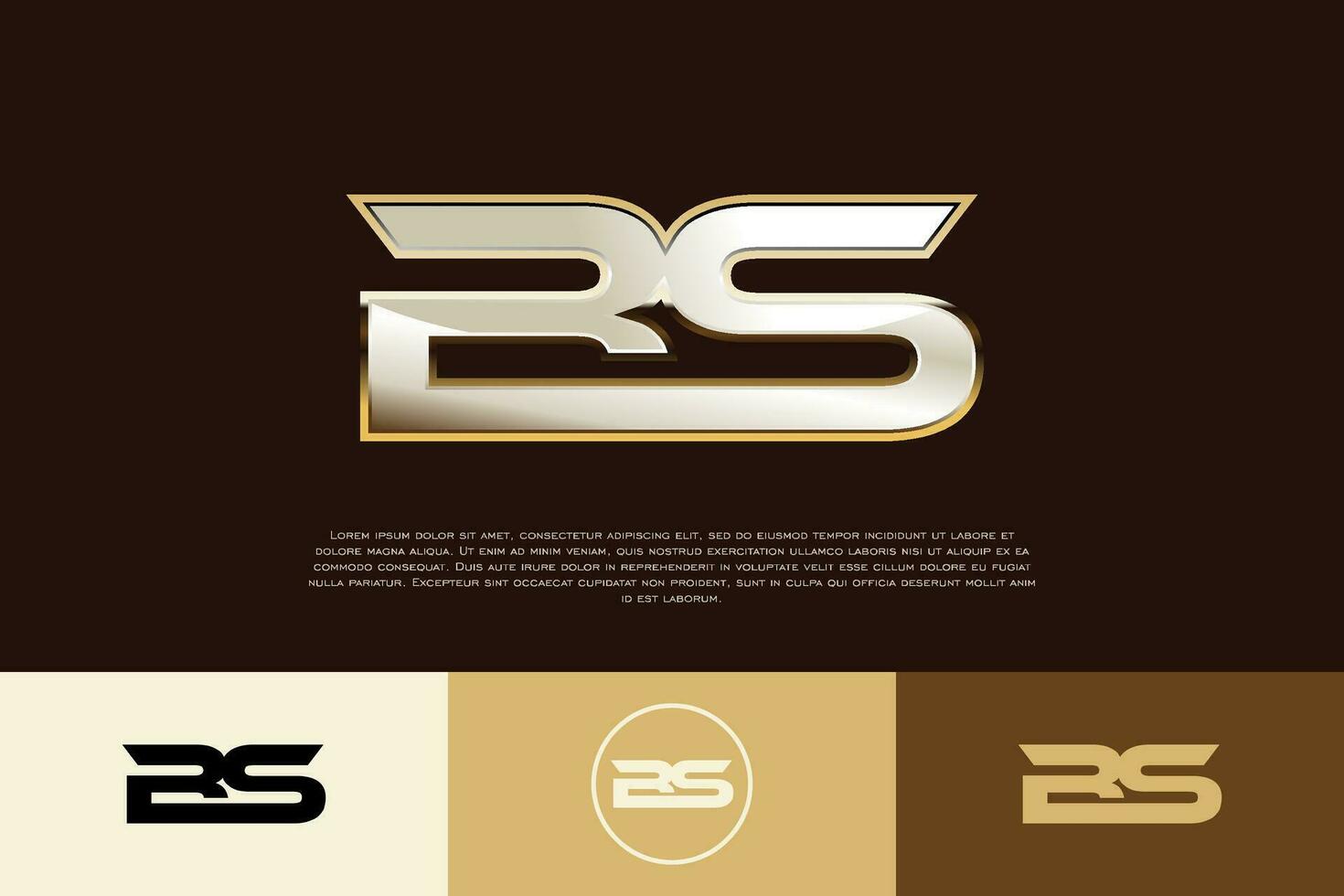 BS Initial Modern Exclusive Logo Emblem Template for Business vector