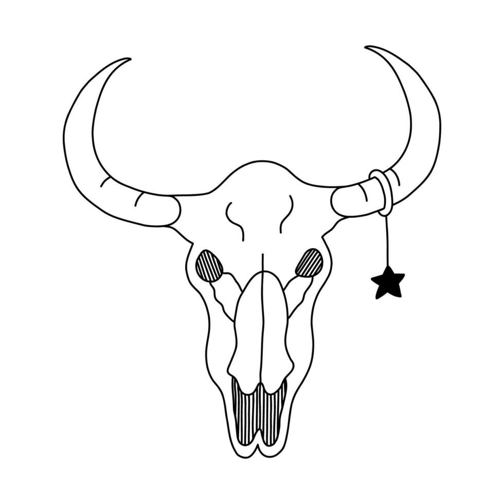 Simple doodle of bull skull with star earring on the horn with hand drawn outline. Portrait of cow scull head skeleton in front view. Sign of cowboy, western culture, cowgirl, native American, Texas. vector