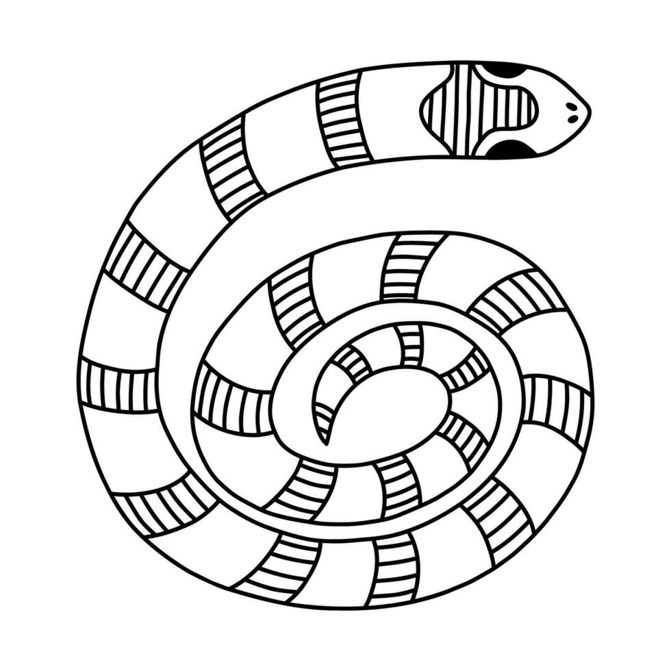 Hand drawn doodle with outline of elapidae snake. Jungle or zoo serpent rolled into a circle. Tropical or Wild West poison viper in top view. Vector wildlife concept. Dangerous snake isolated