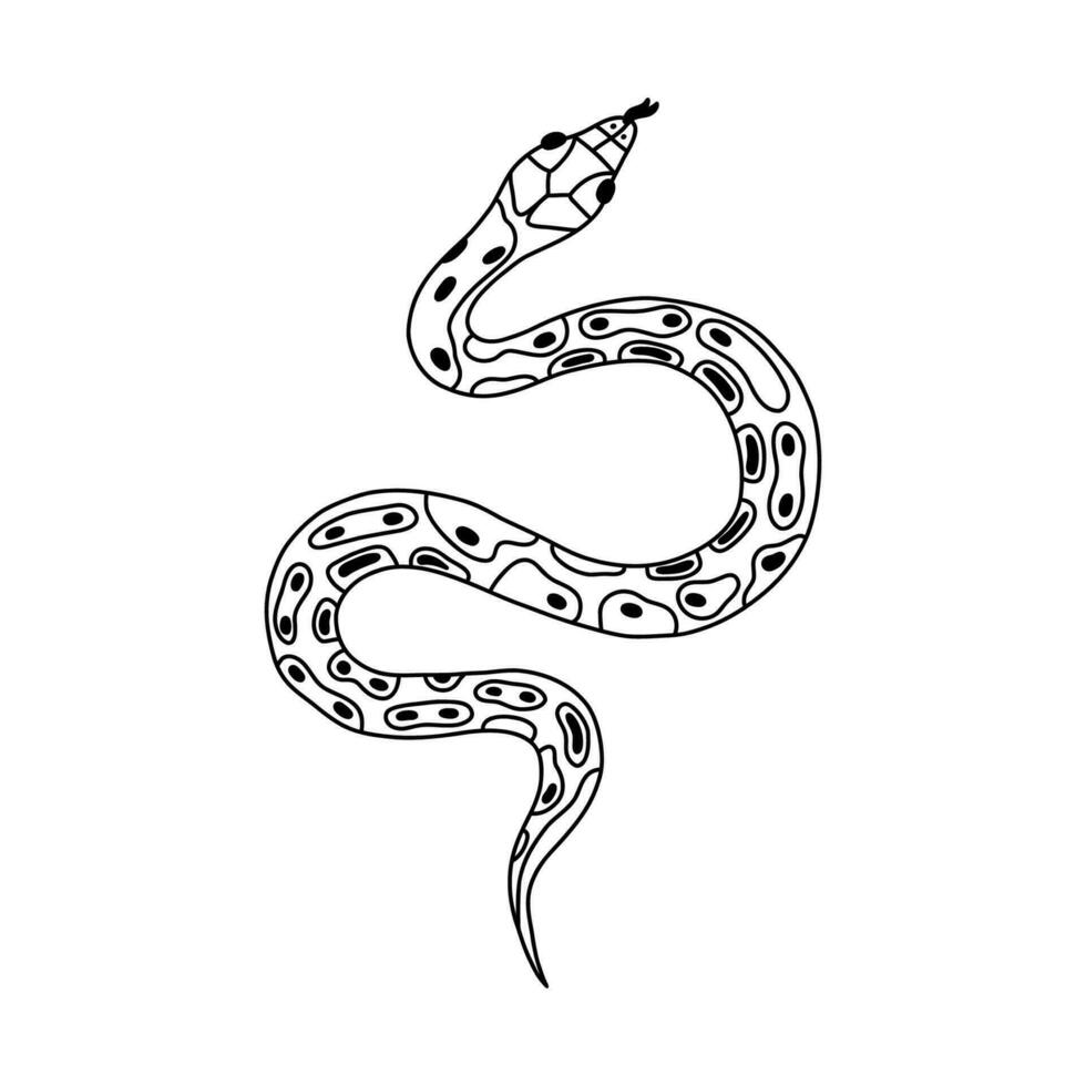 Hand drawn snake doodle with outline. Tropical or Wild West poison viper in the top view. Green dangerous serpent isolated. Vector wildlife concept. Jungle or zoo snake slithering with tongue out.