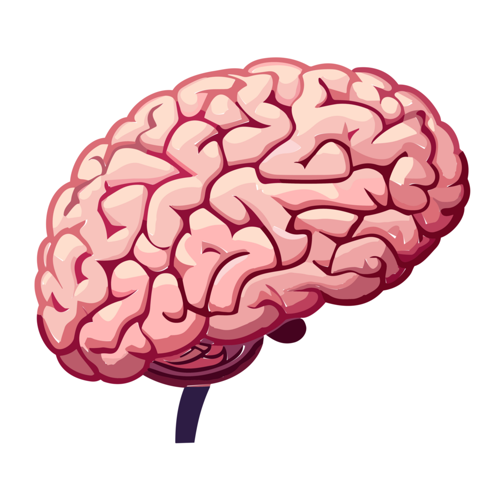 humano cerebro, interno Organo, anatomía.dibujos animados plano icono ilustración aislado en transparente fondo.ai generativo png