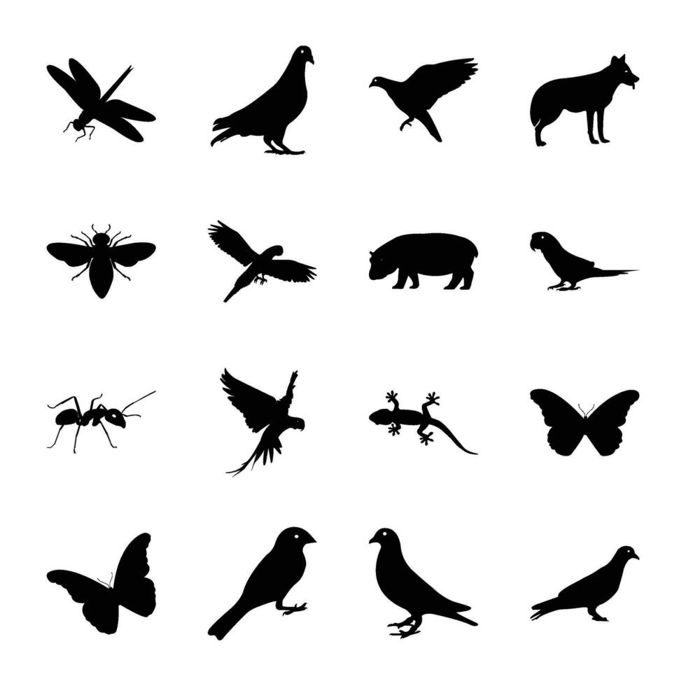 paquete de aves sólido icono vectores