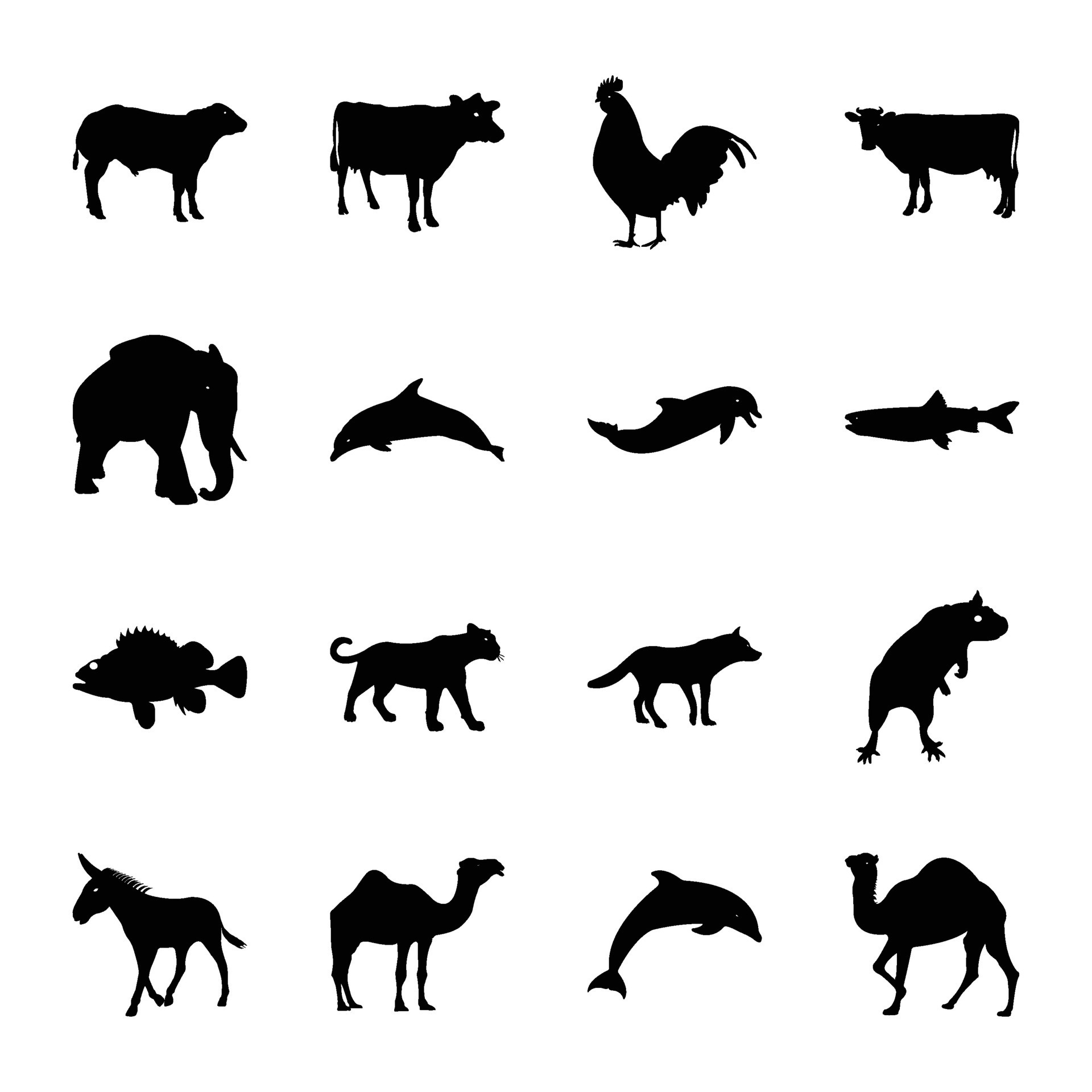 pack-of-types-of-animal-kingdom-solid-icon-vectors-28636712-vector-art