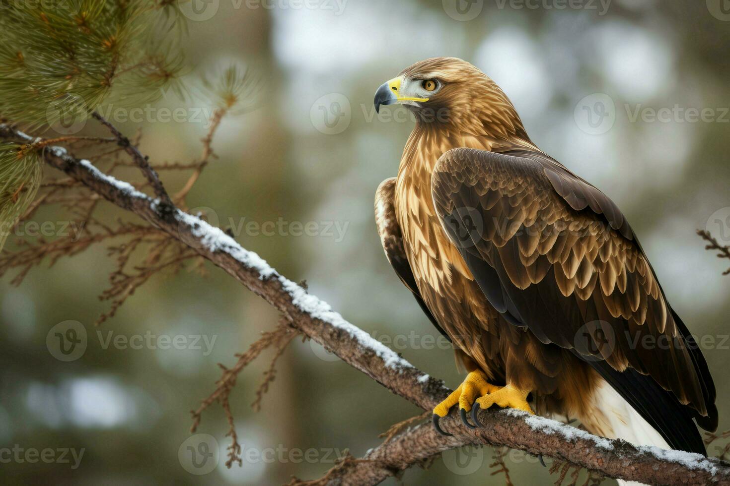 Eagle branch tree winter. Generate Ai photo