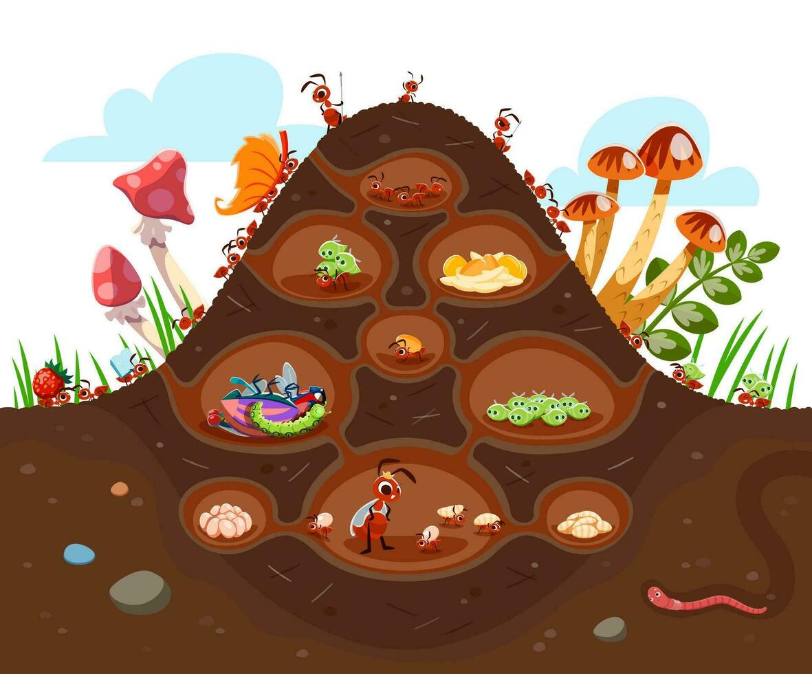 Cartoon anthill colony at soil, ant characters vector