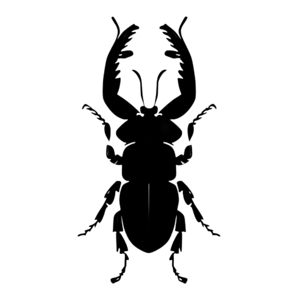 Beetle Silhouette Illustration PNG Transparent Background