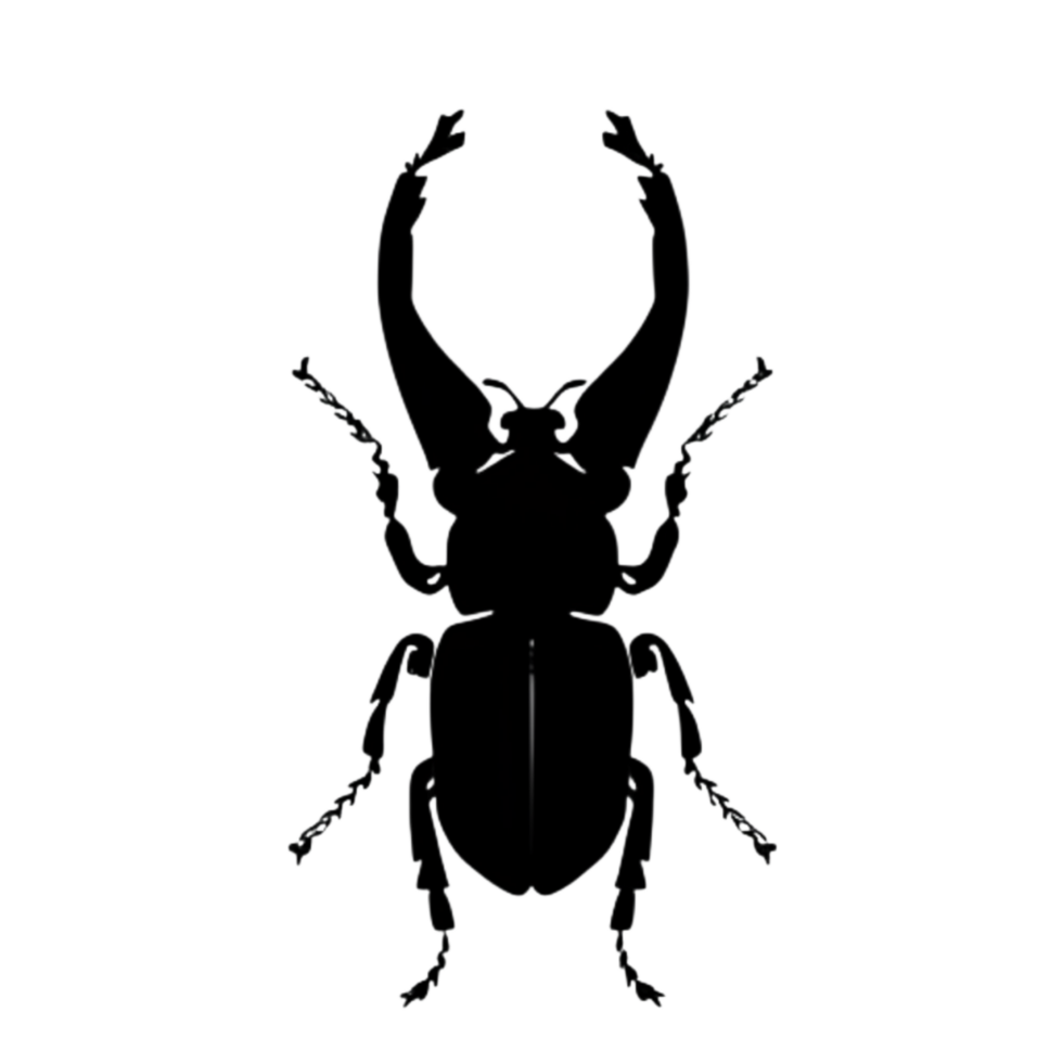 Beetle Silhouette Illustration PNG Transparent Background