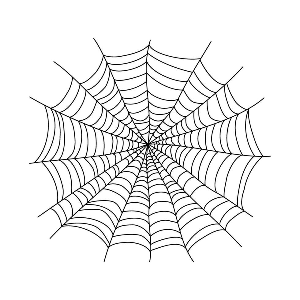 Spider web design element. Abstract texture of insect traps. Halloween design element. Isolated graphic template. Vector illustration.