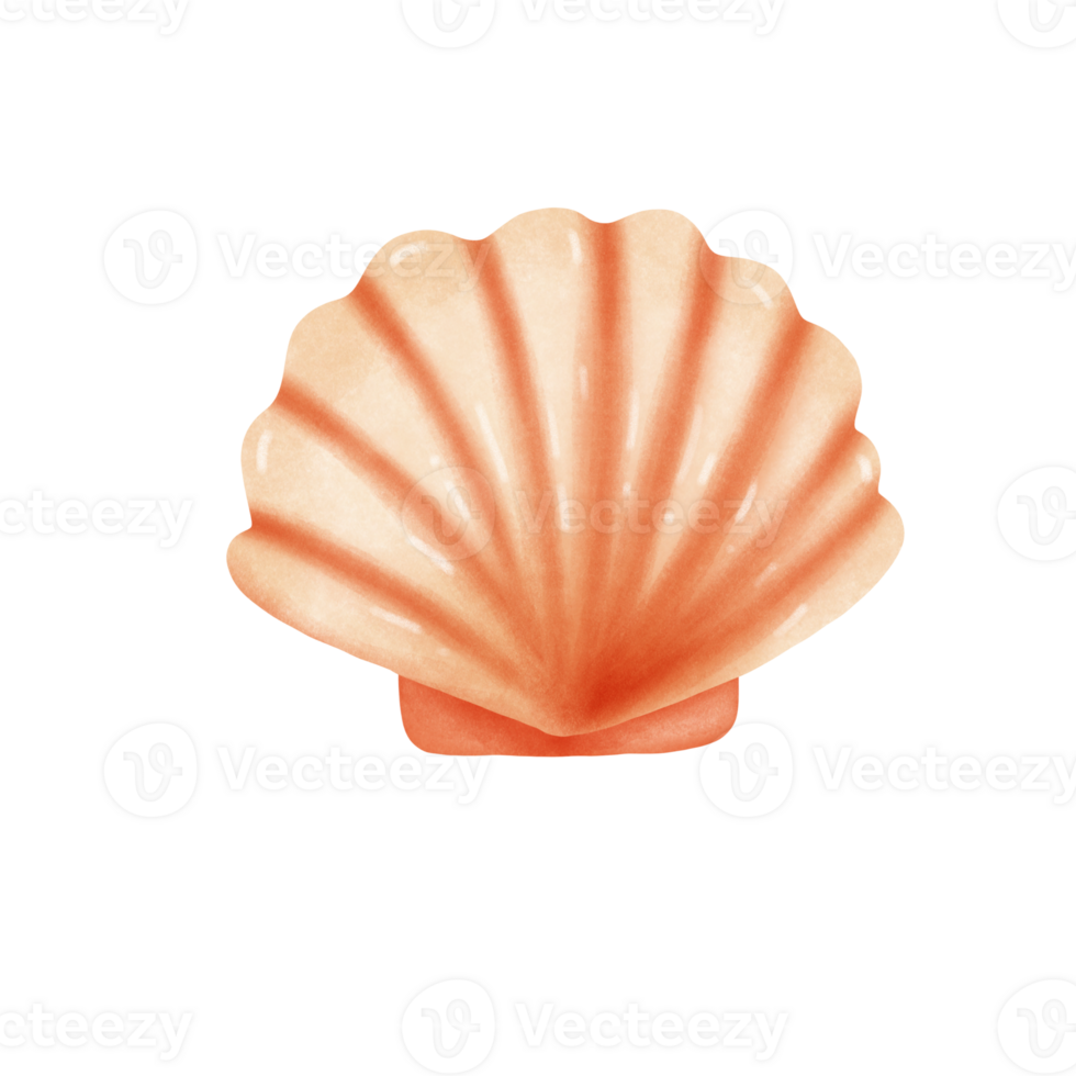 shellfish sea foods 28641831 PNG