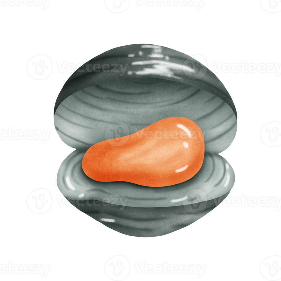 shellfish sea foods png