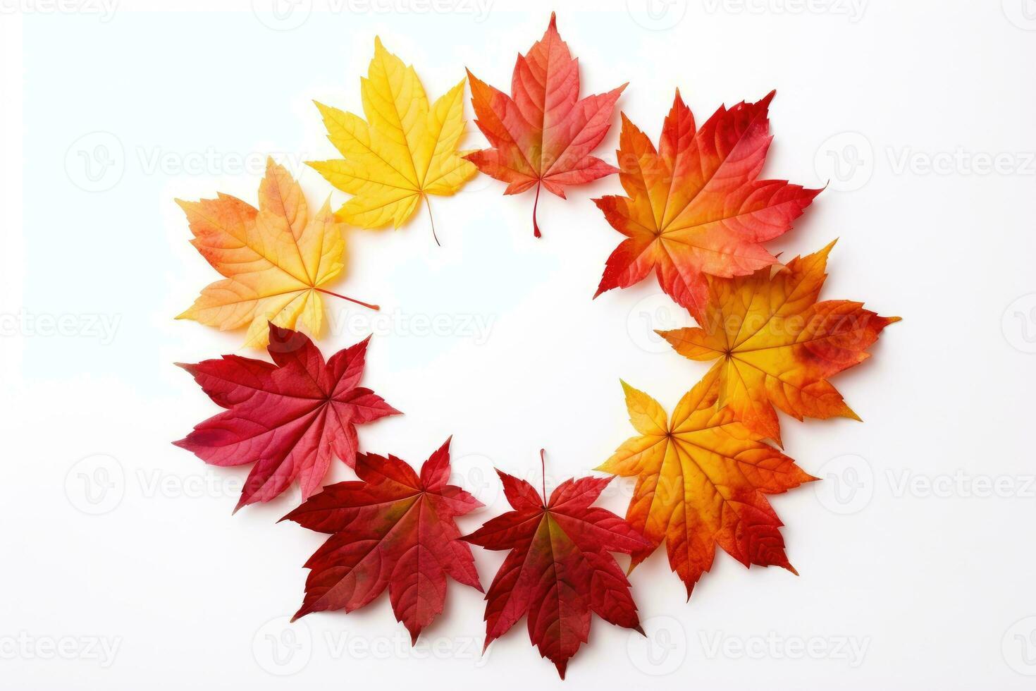 Beautiful autumn nature background from maple leaves photo