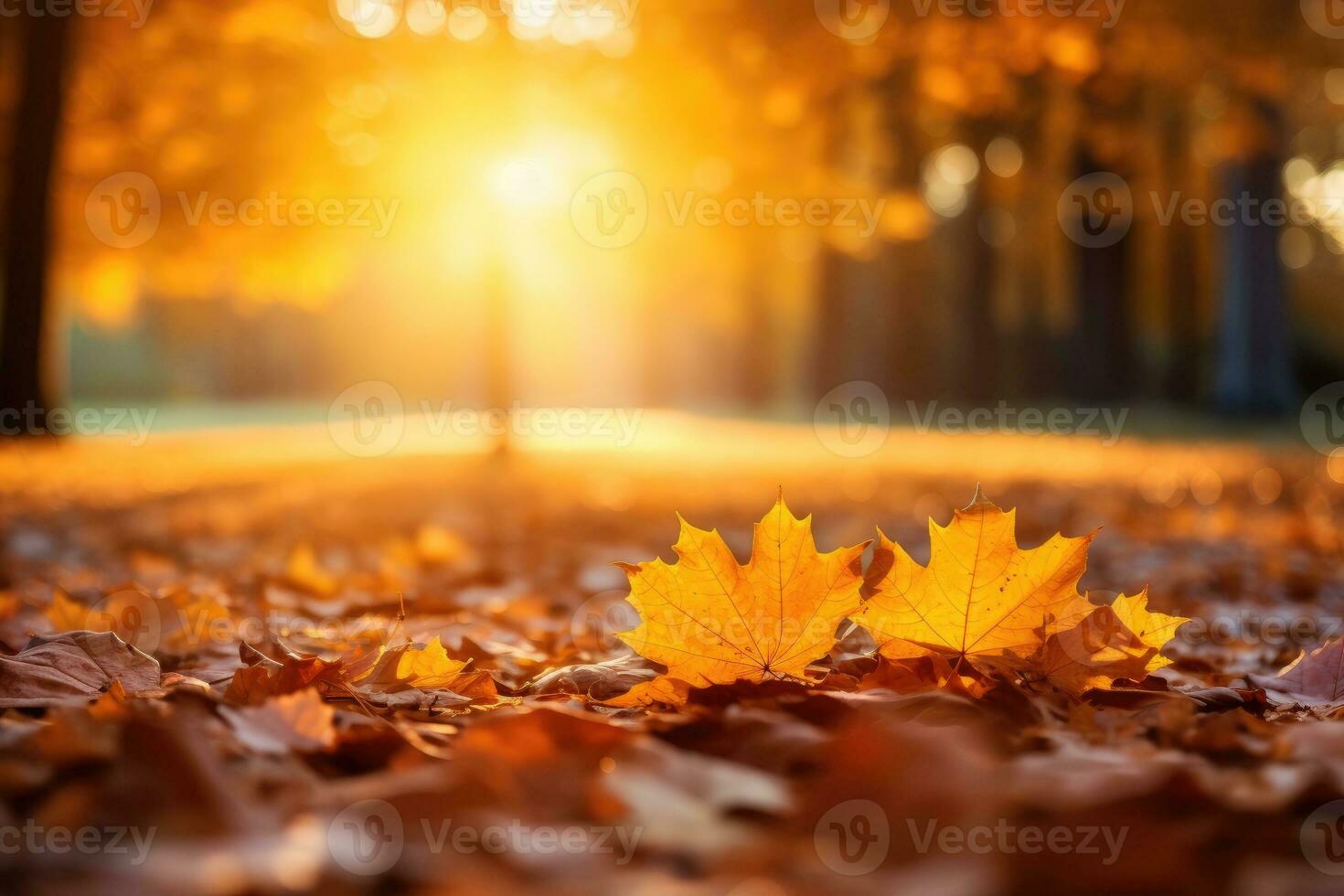 A carpet of beautiful yellow and orange fallen leaves against a blurred natural park photo