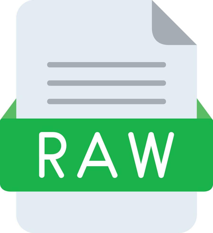 RAW File Format Line Icon vector