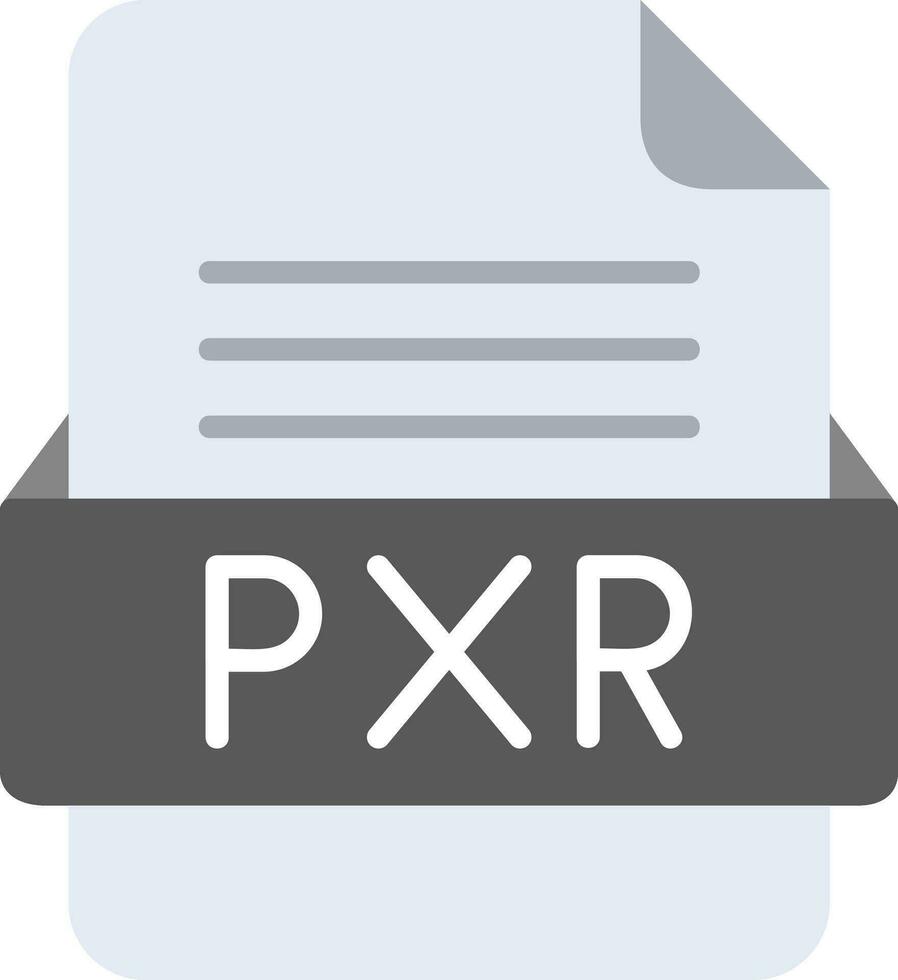 PXR File Format Line Icon vector
