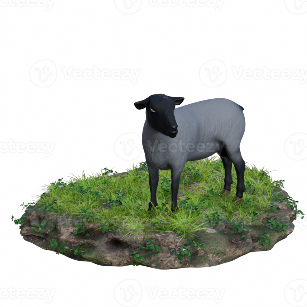 Sheep isolated 3d png