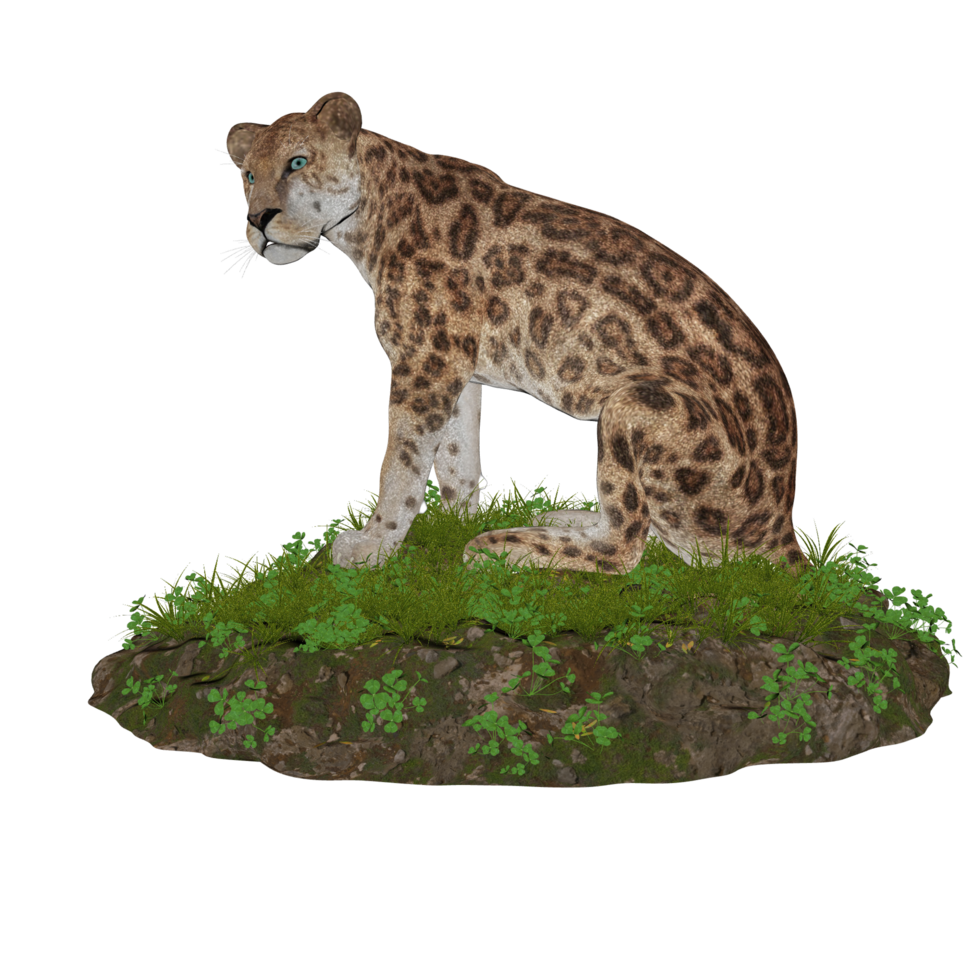 Tiger isolated 3d png